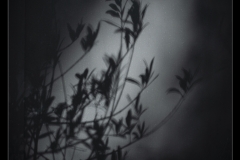 resized__H7A2068