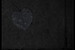 resized__H7A2076